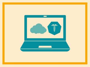 Healthcare Organizations in the Cloud