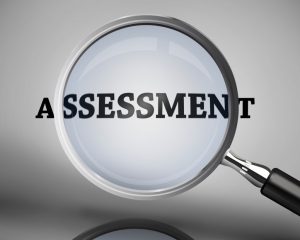 security assessment