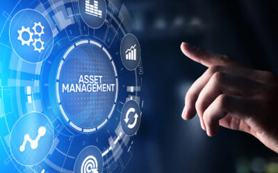8 Essential Digital Asset Management Tools