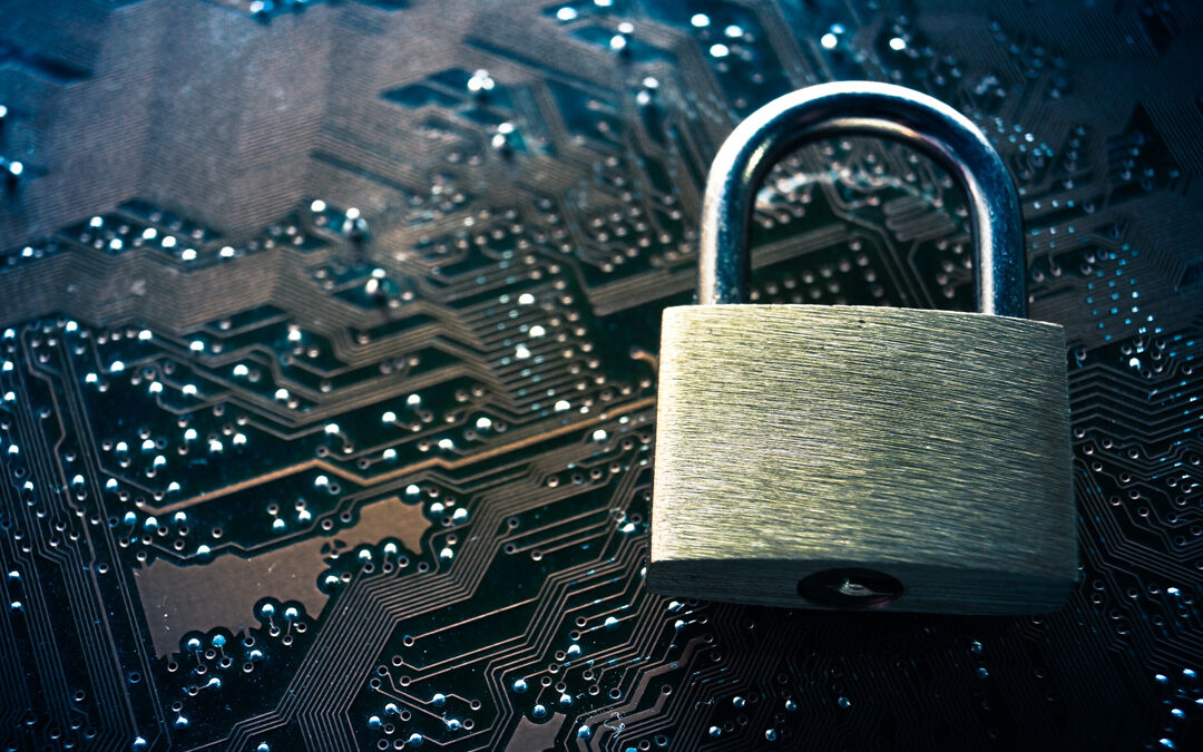 The Essential Guide to Organizational Security in 2024