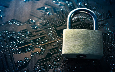 The Essential Guide to Organizational Security in 2024